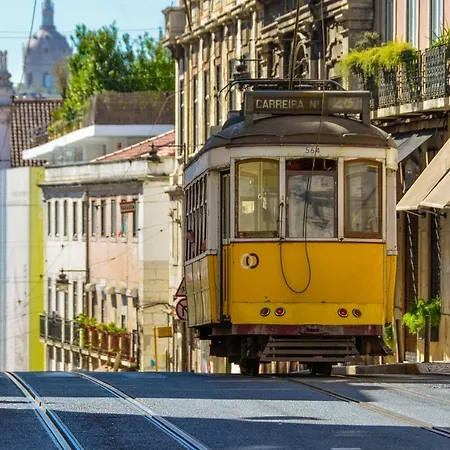 Apartman Rustic Charm In Principe Real Lisboa
